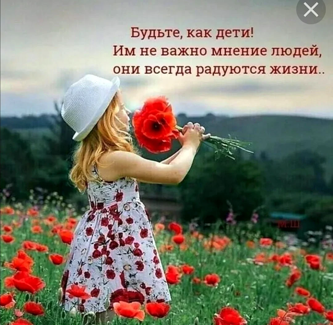 Радоваться жизни