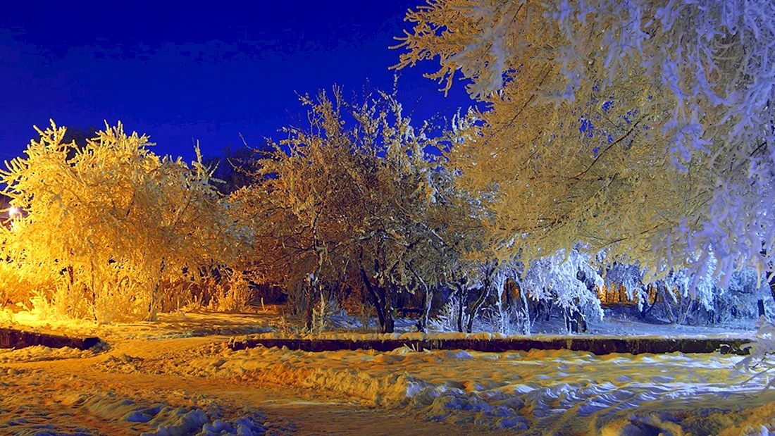 Ранняя зима