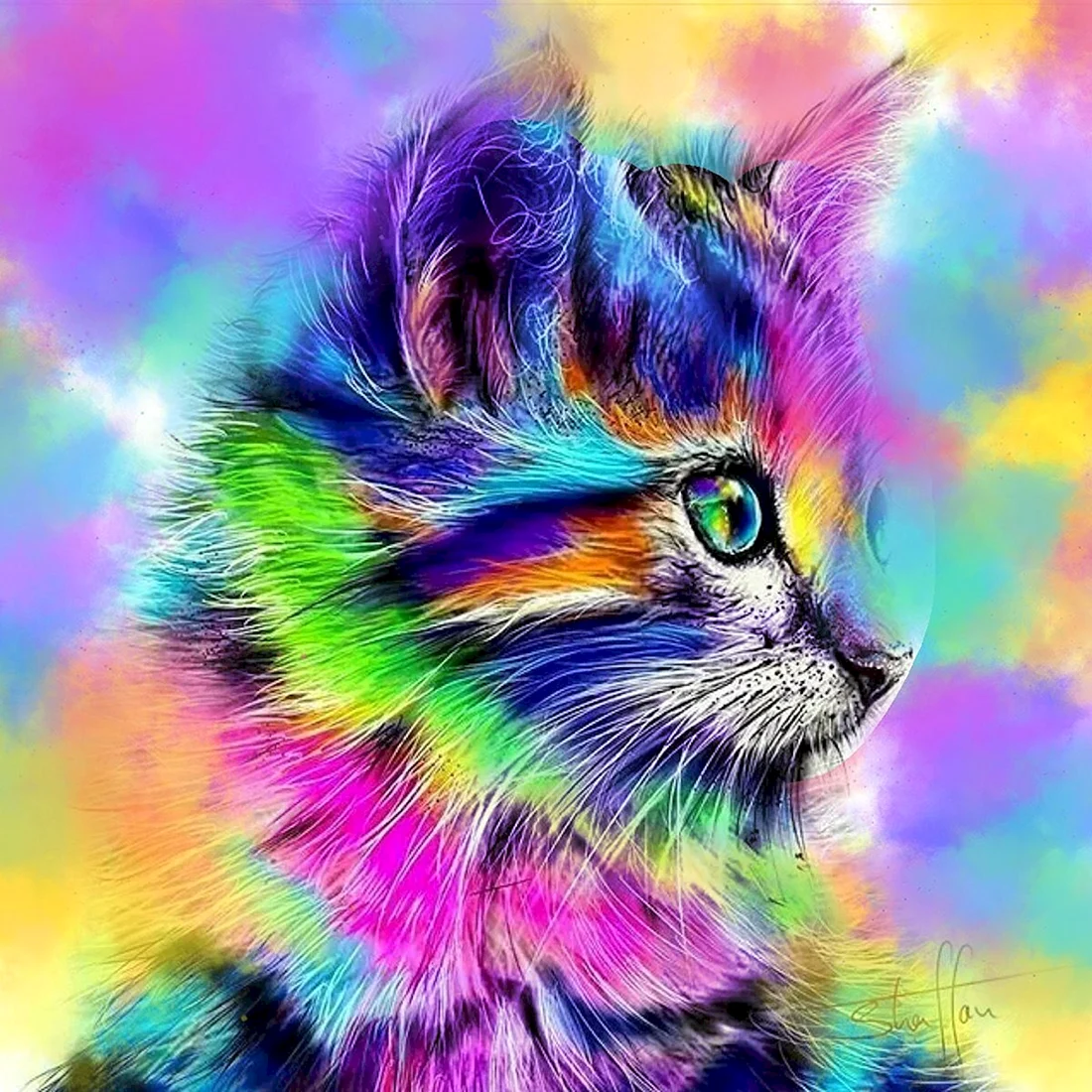 Разноцветные котята картинки