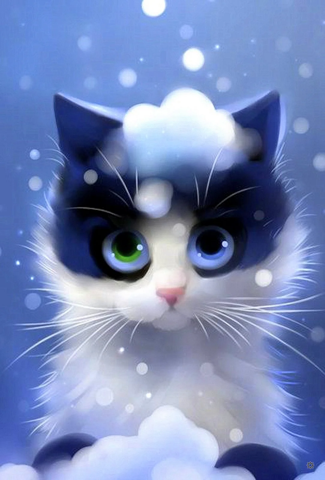 Рихард Донскис котики
