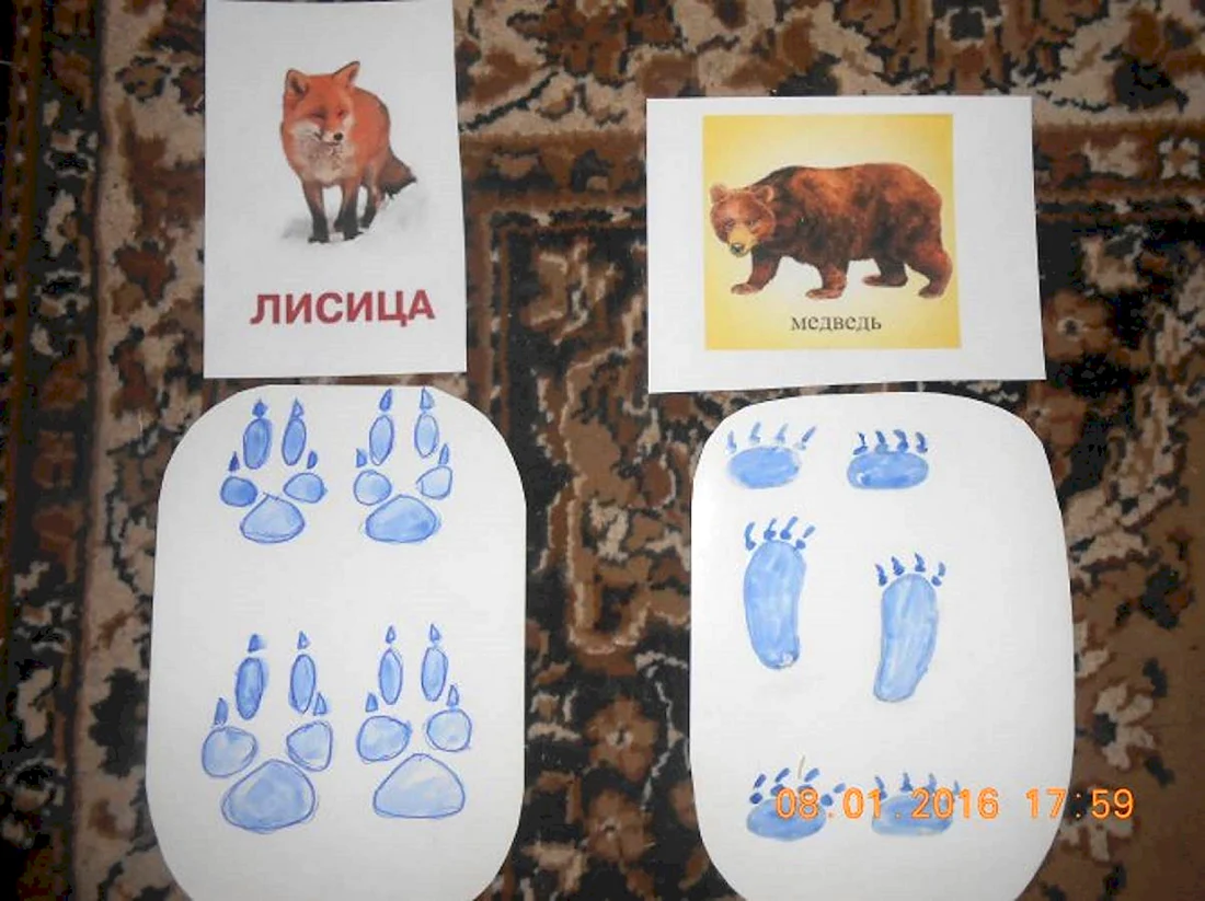 Рисование следов животных в младшей