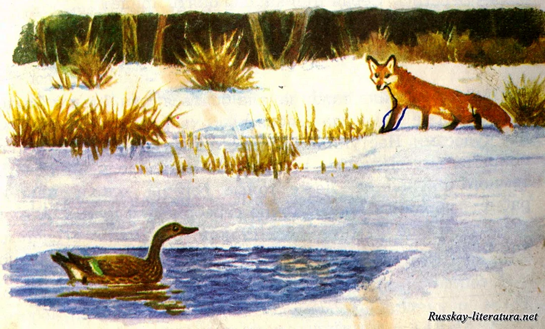 Рисованиемаминсиберяксераяшейка