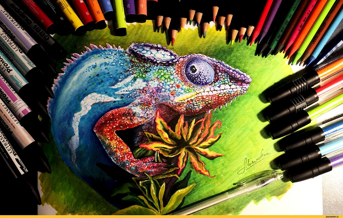 Рисунки маркерами