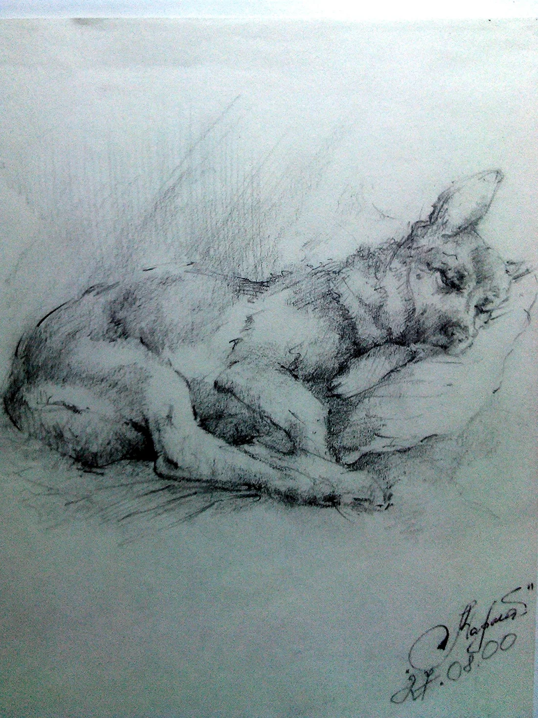 Рисунок бежащей собаки