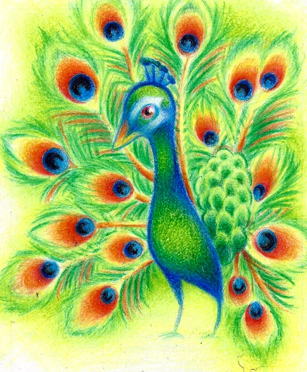 Рисунок павлина