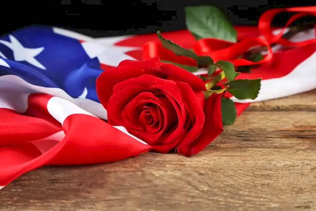 Роза символ США