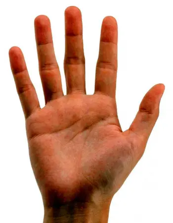Рука человека