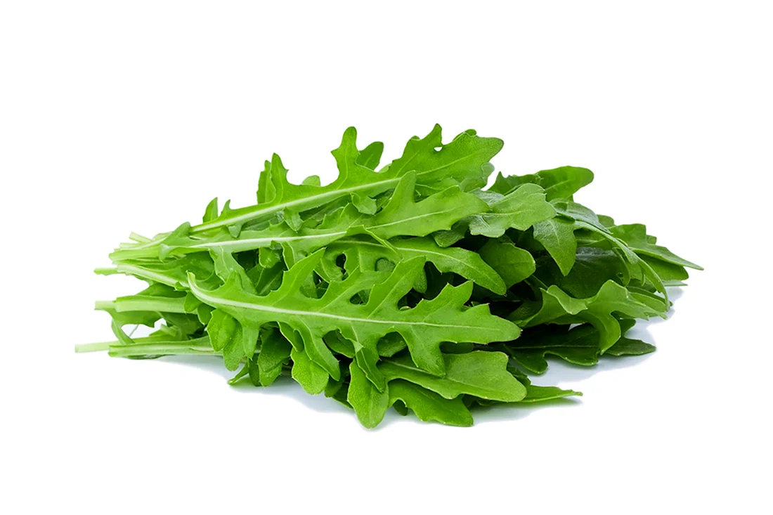 Руккола Акрополь