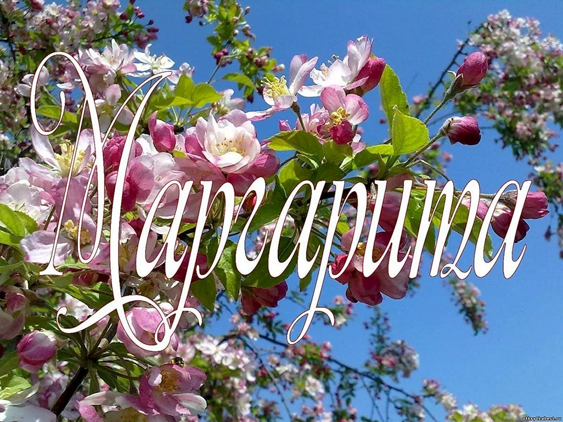 С днем рождения