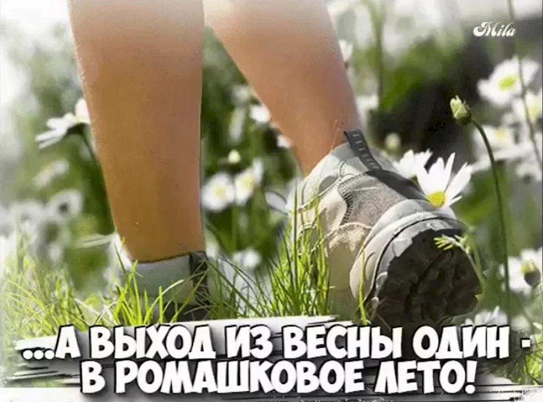 С последним днем весны