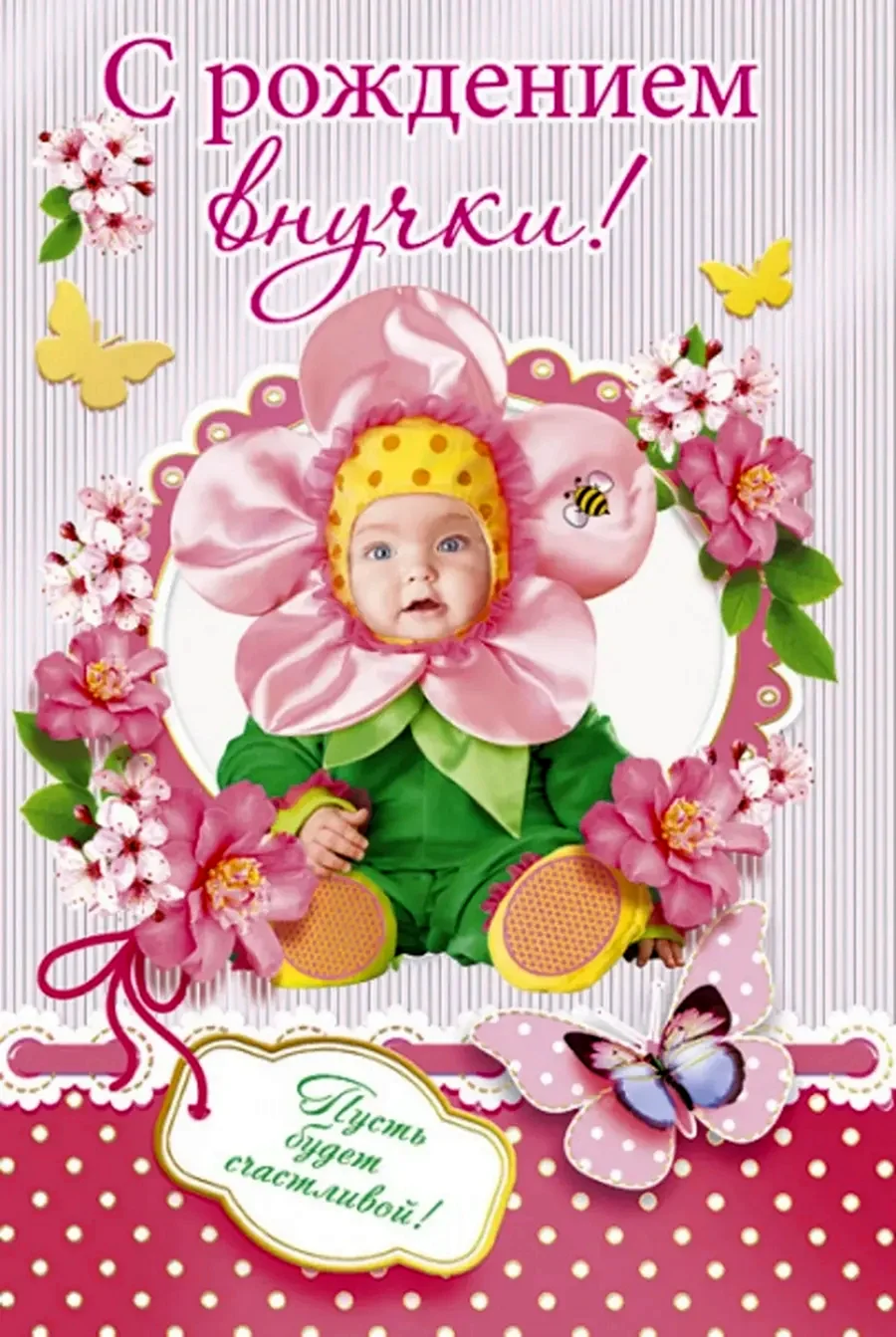 С рождением внучки