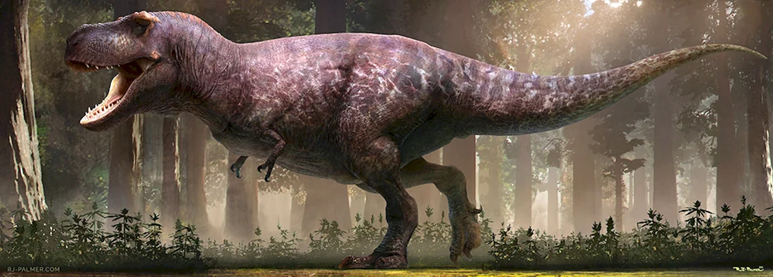 Saurian Тираннозавр