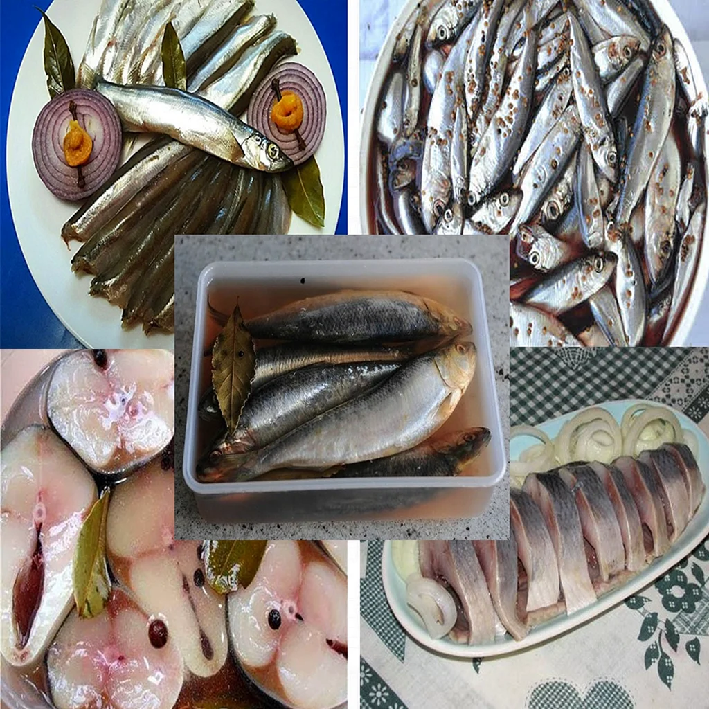 Сельдь скумбрия салака