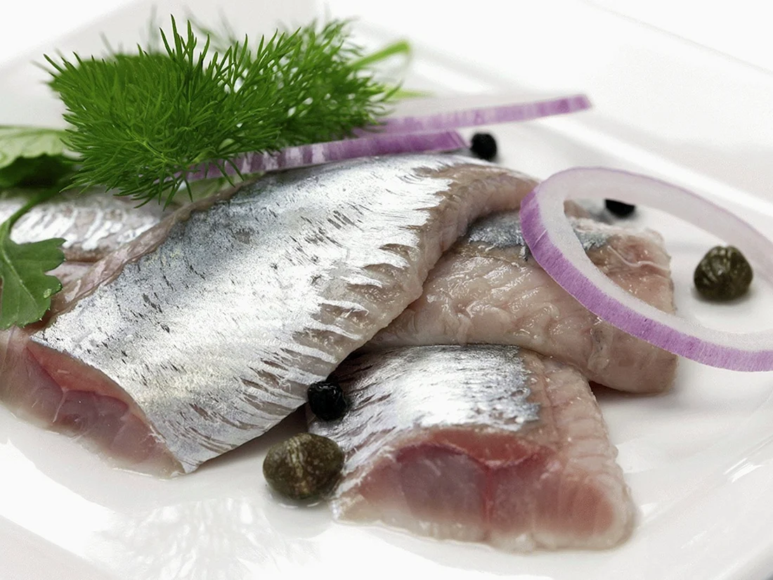 Селедка Fish Herring
