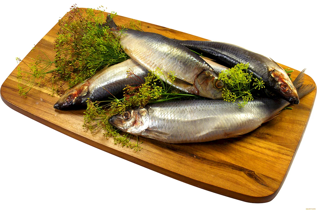 Селедка Fish Herring