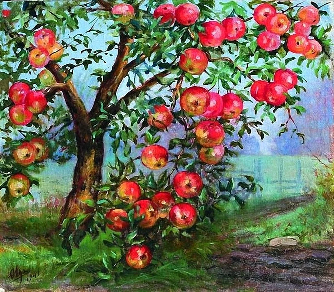 Серебрякова яблоня