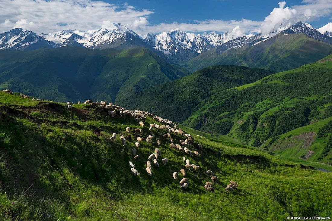 Северная Осетия горы Альпийские Луга