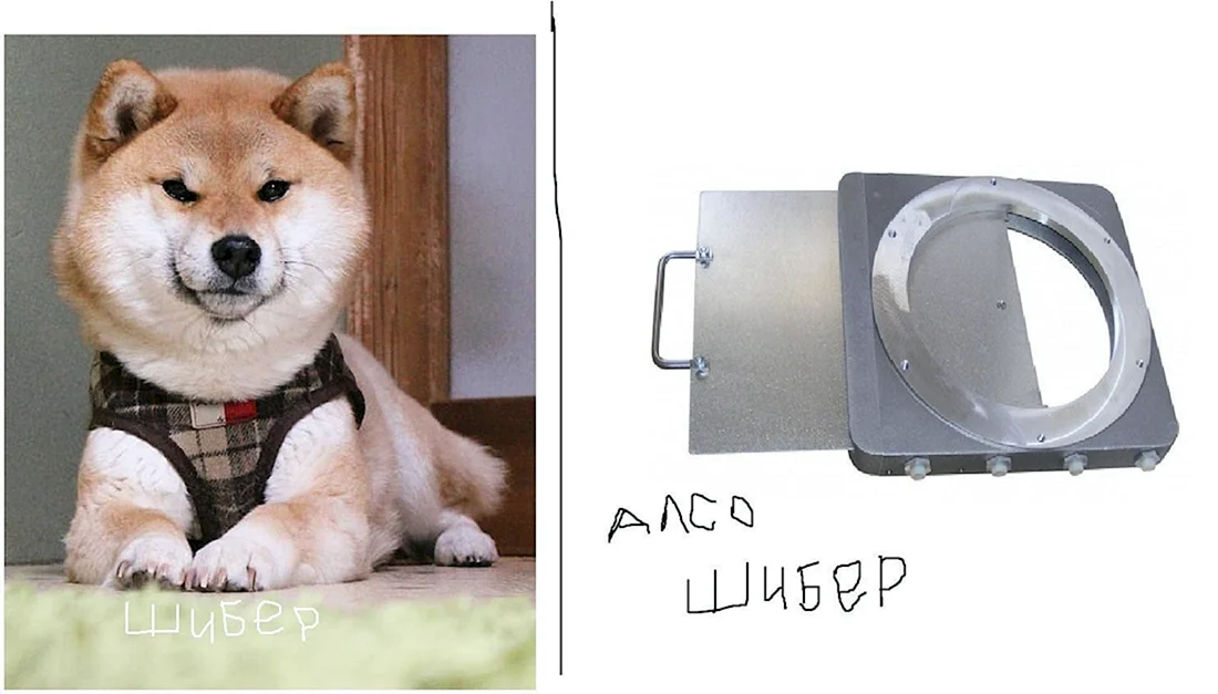 ШИББЕР Йоши