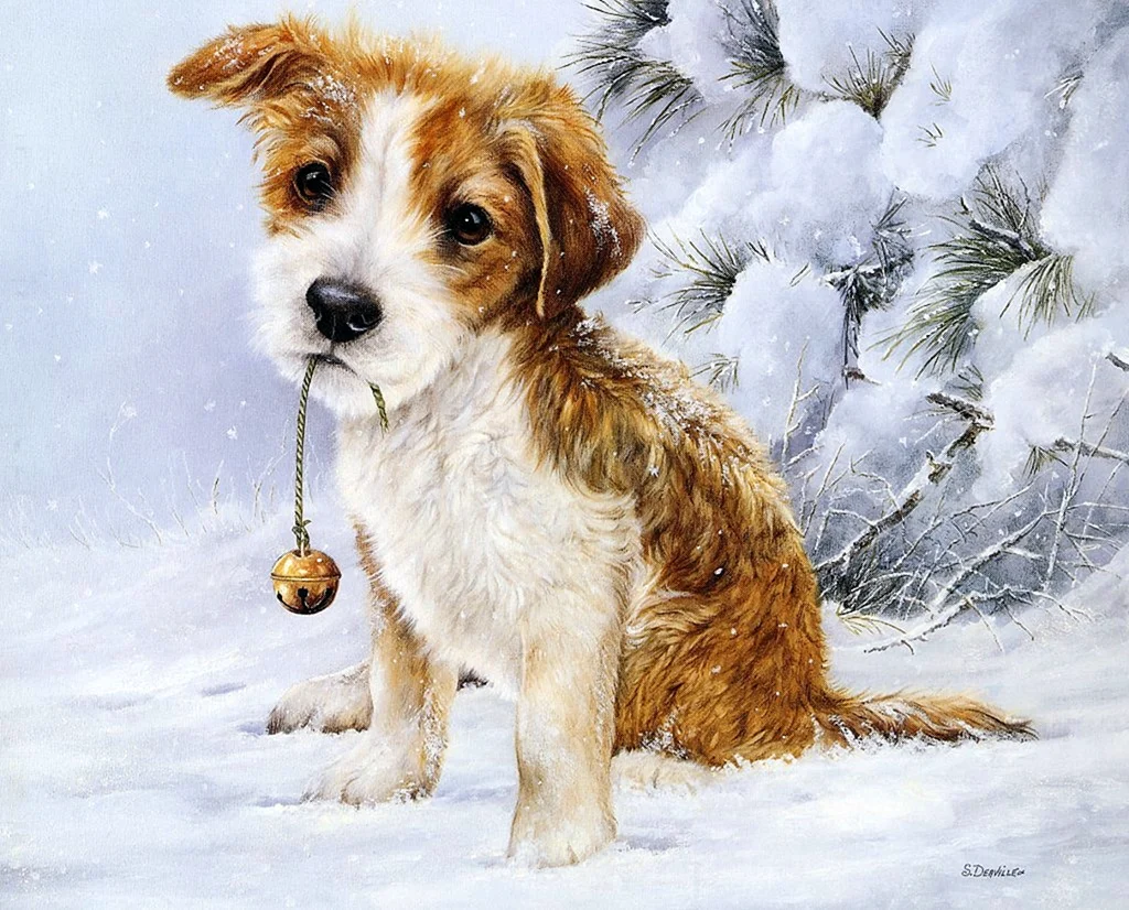 Shirley Deaville картины