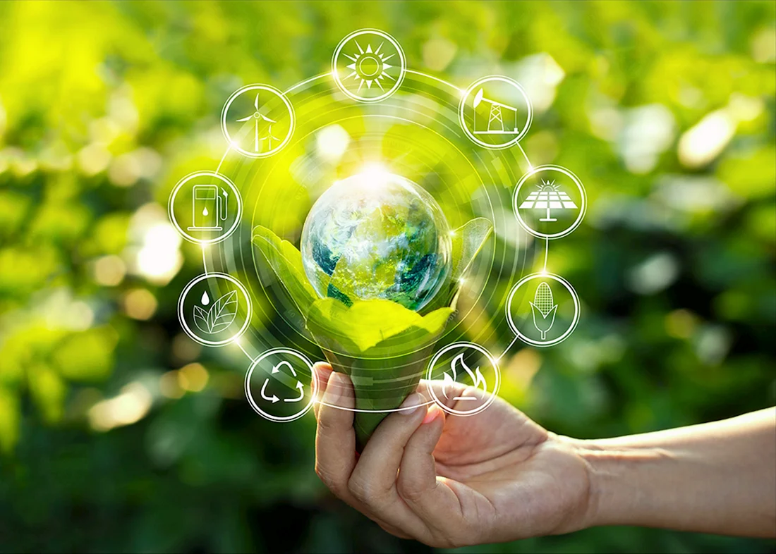 Система экологического менеджмента ISO 14001