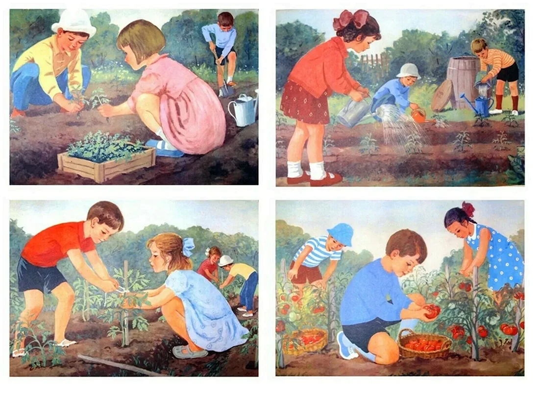 Сюжетные картины