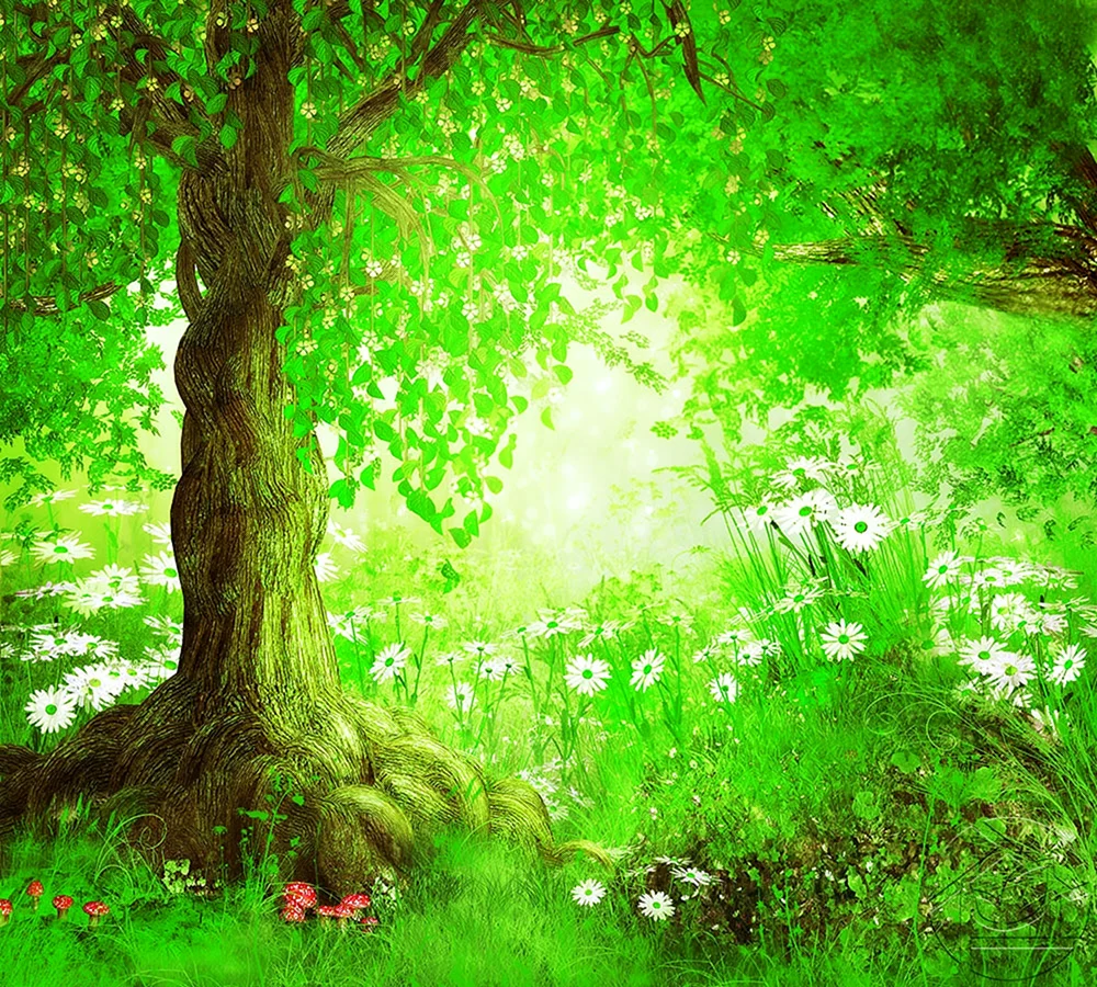 Сказочный лес
