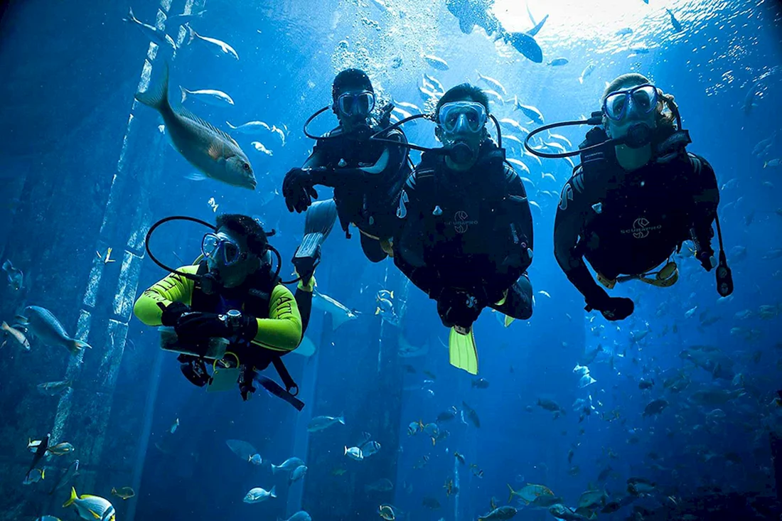 Скуба-дайвинг Scuba-Diving погружение