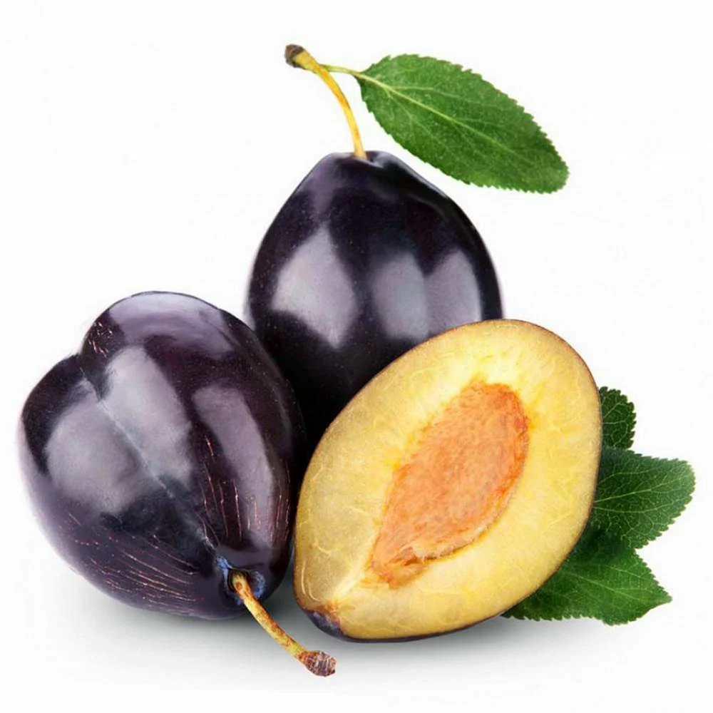 Слива