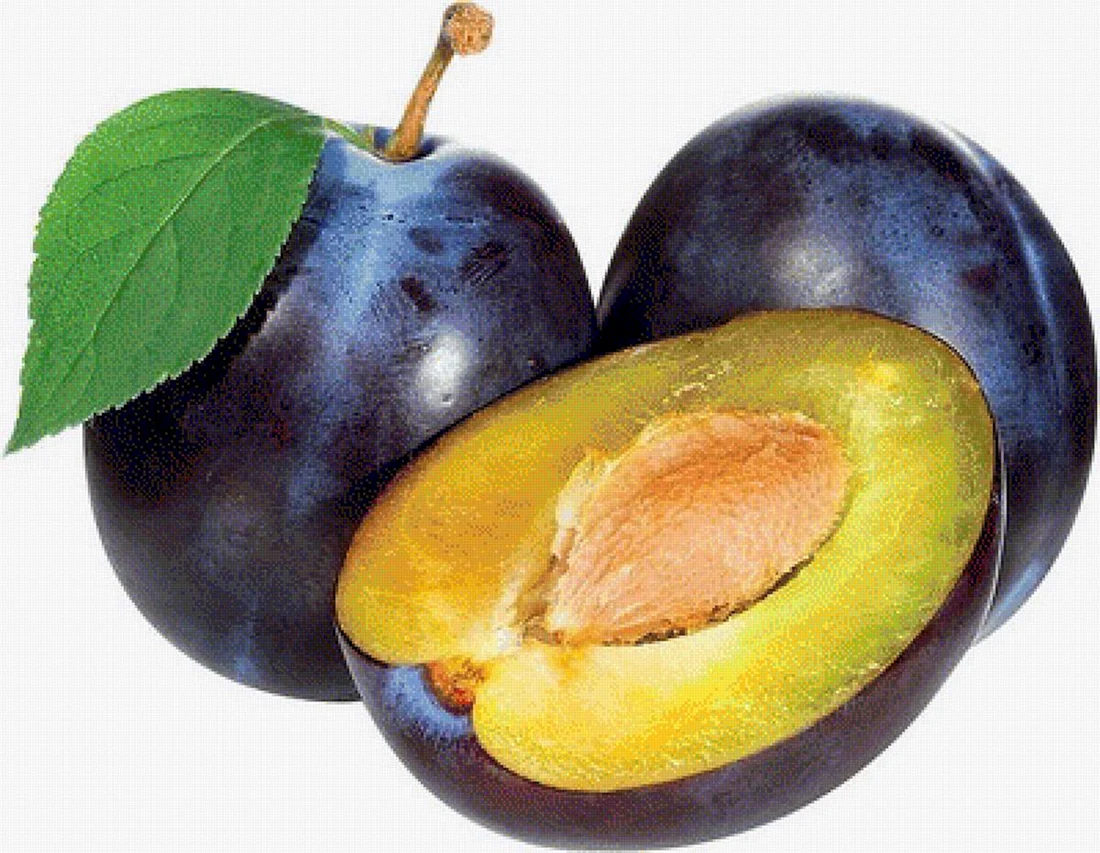 Слива