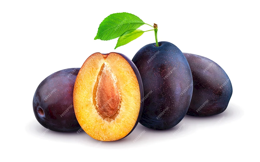 Слива