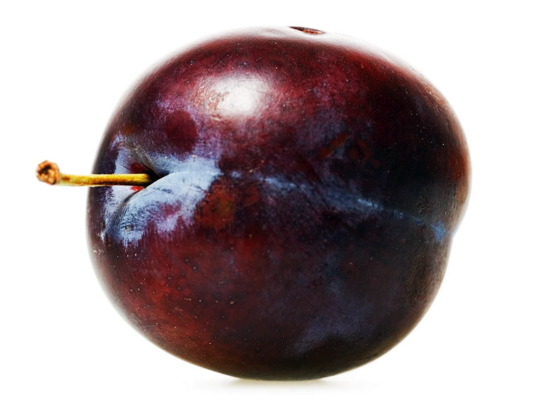 Слива