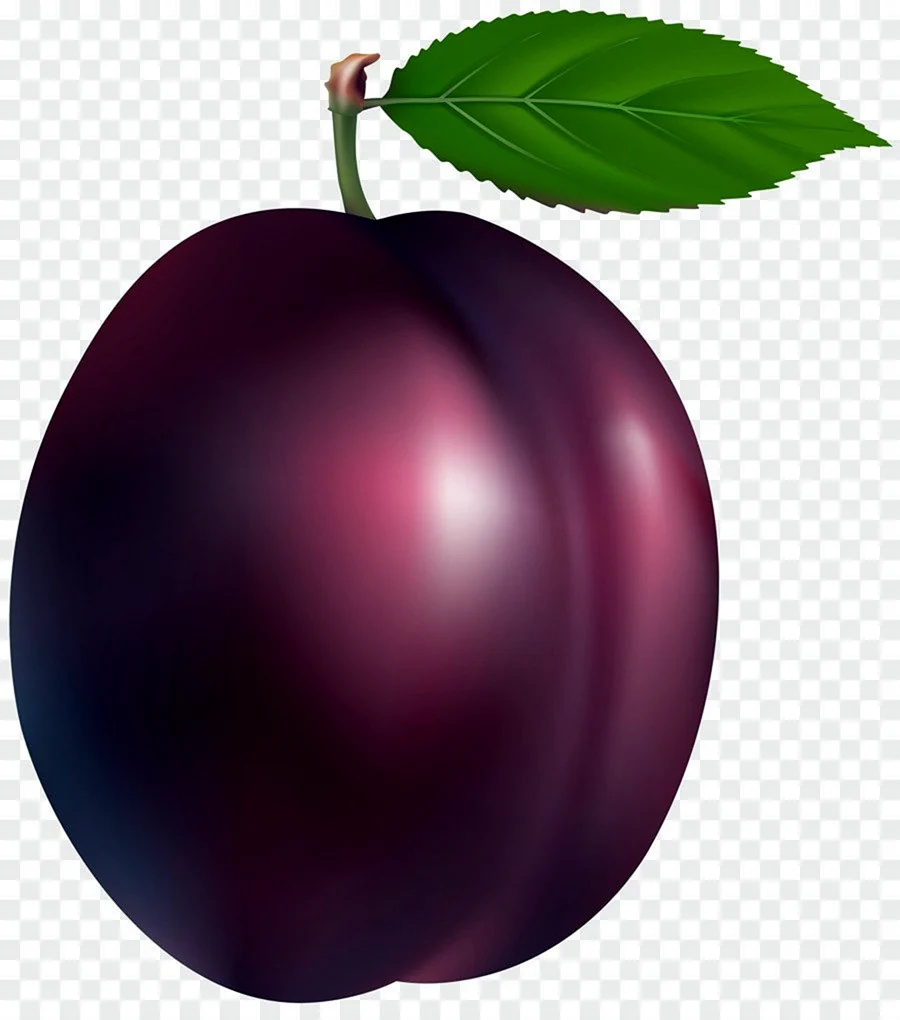 Слива листья
