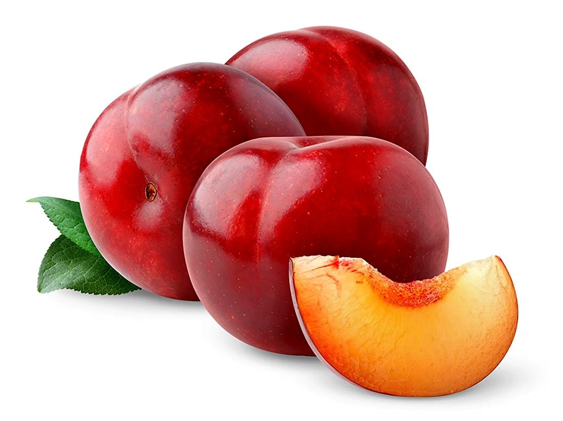 Слива Red Plum