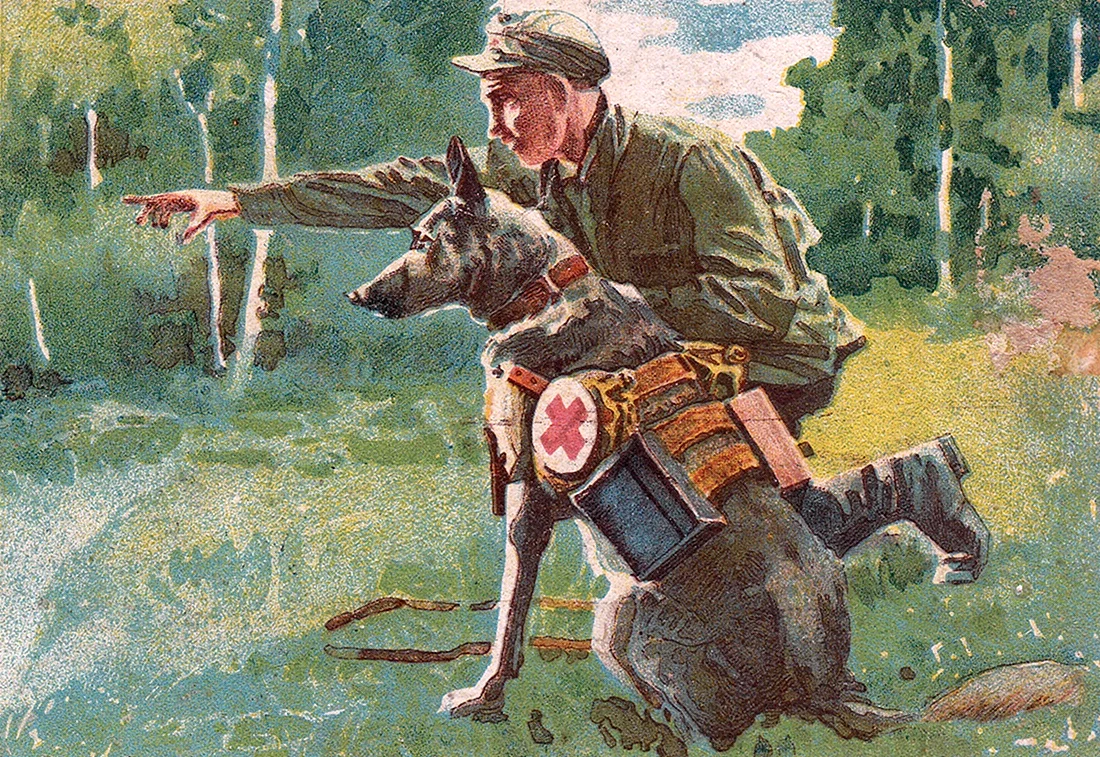 Служебная собака СССР