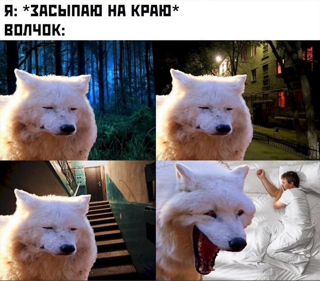 Смешные мемы