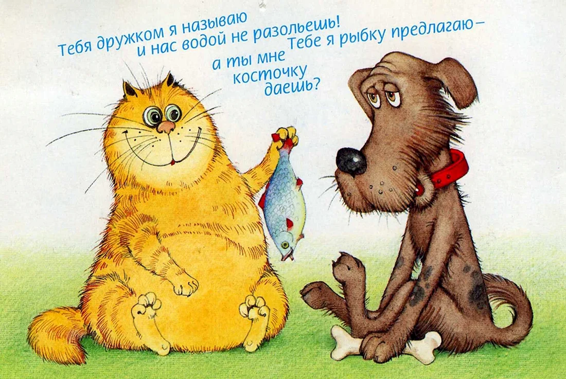 Смешные открытки
