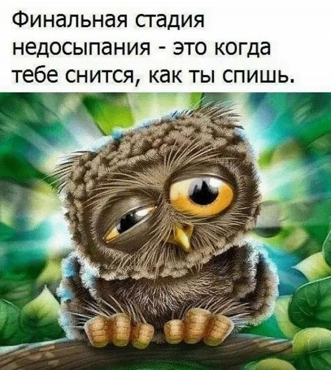 Смешные открытки для поднятия настроения