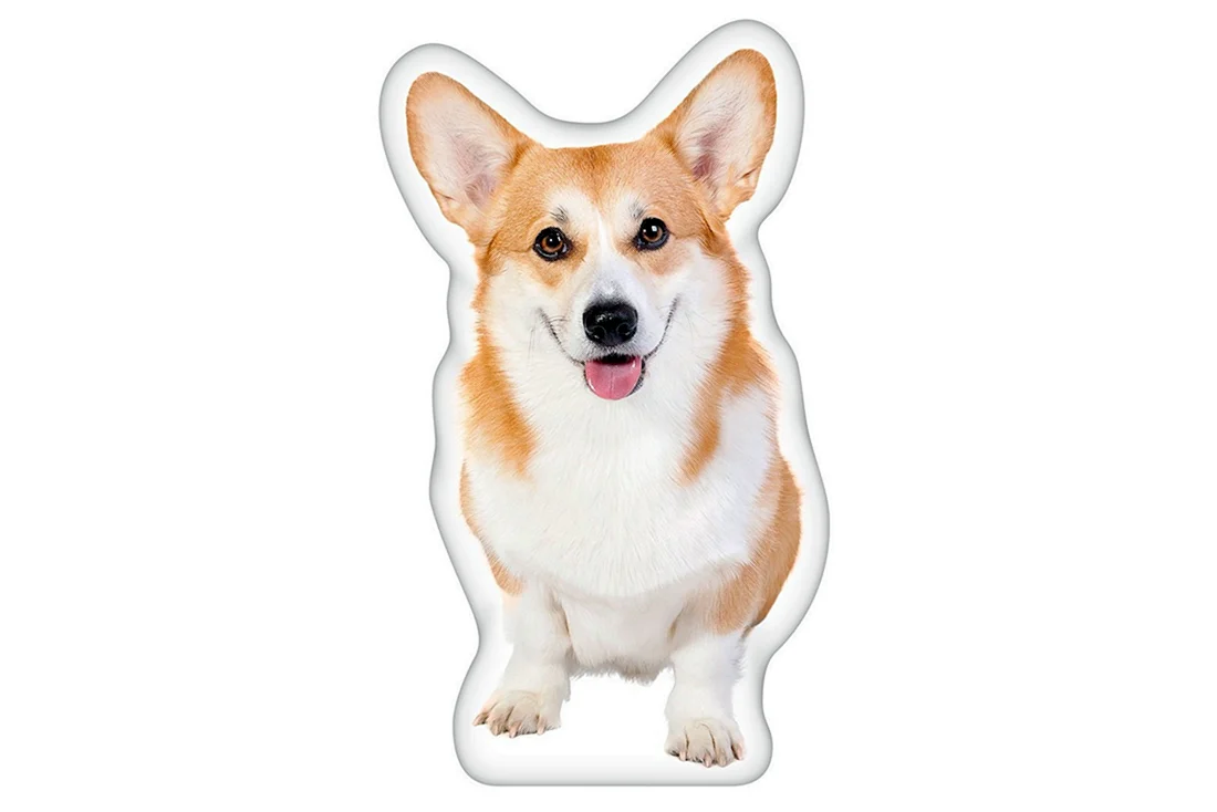 Собака корги