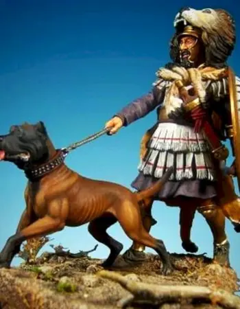 Собака римских легионеров