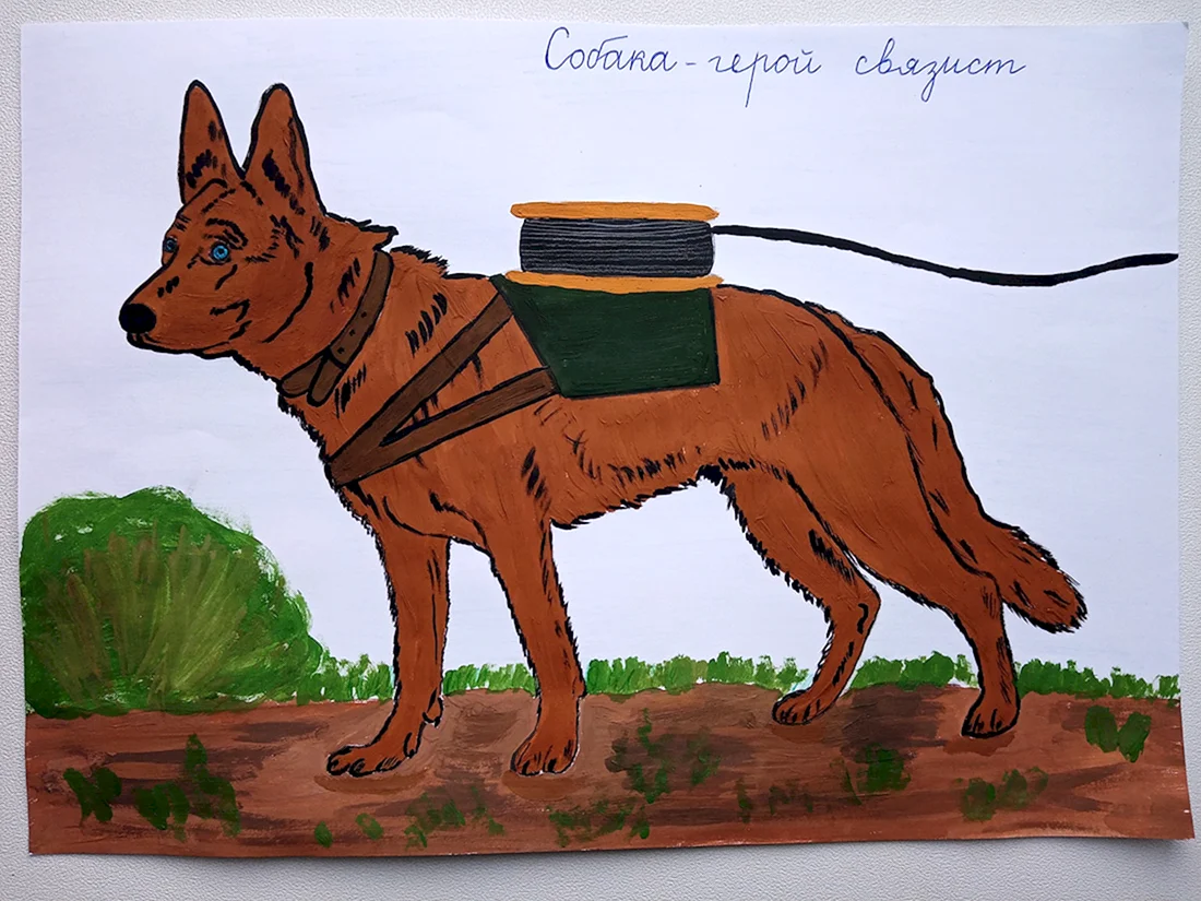 Собака санитар