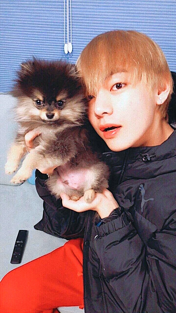 Собака Тэхена BTS ёнтан
