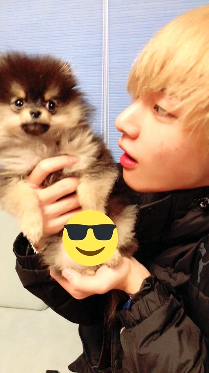 Собака Тэхена BTS ёнтан
