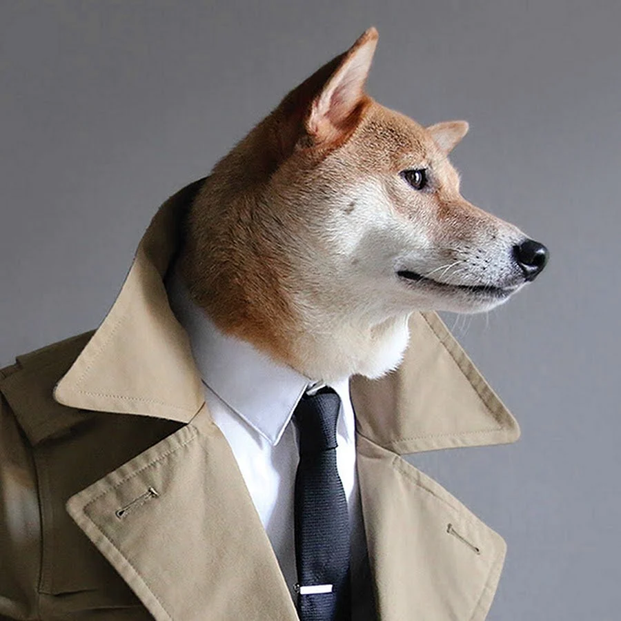 Собака в пиджаке