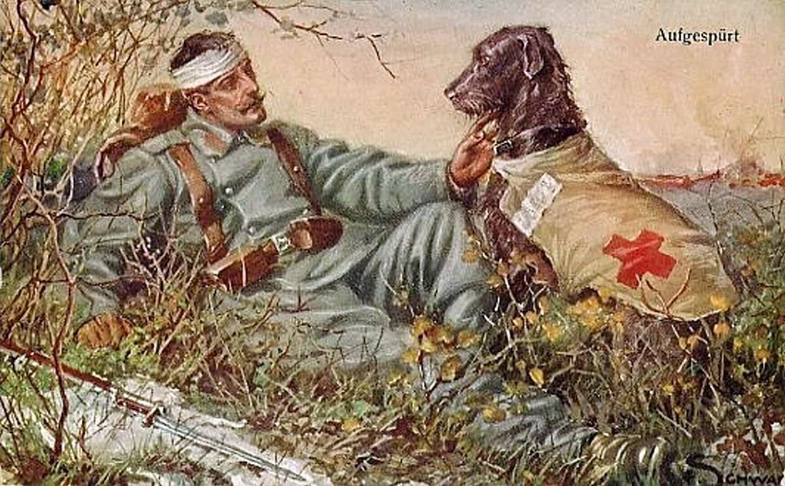 Собаки-санитары в Великой Отечественной войне