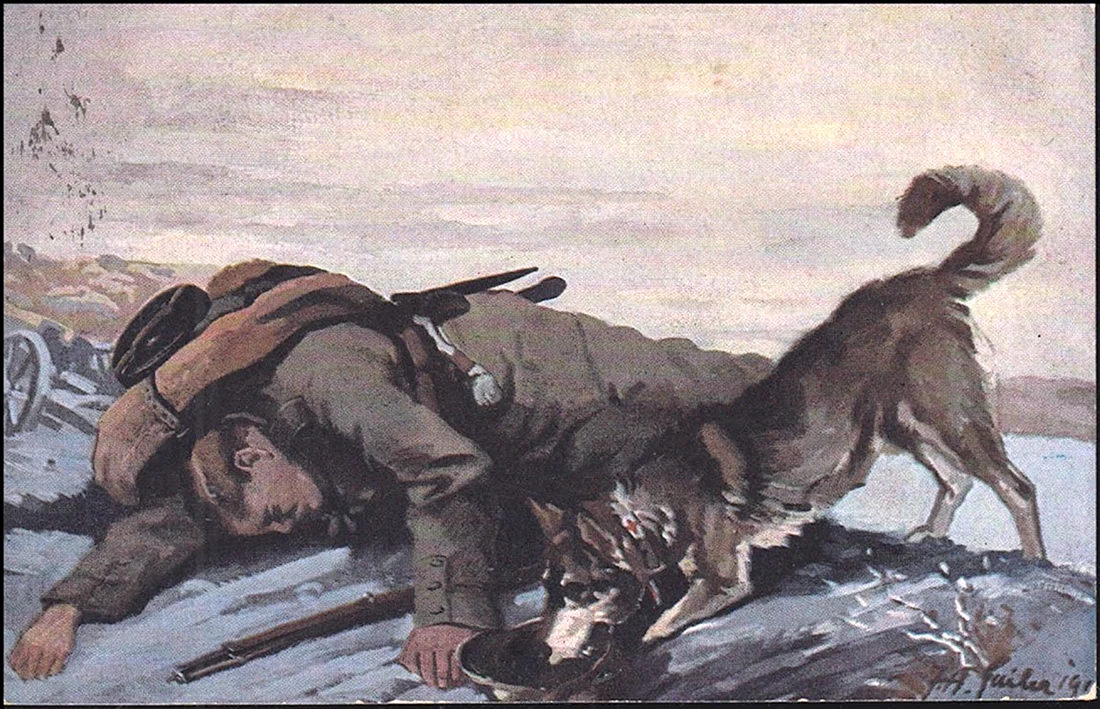 Собаки-санитары в Великой Отечественной войне