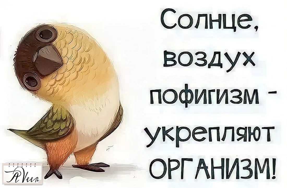 Солнце воздух пофигизм укрепляет организм