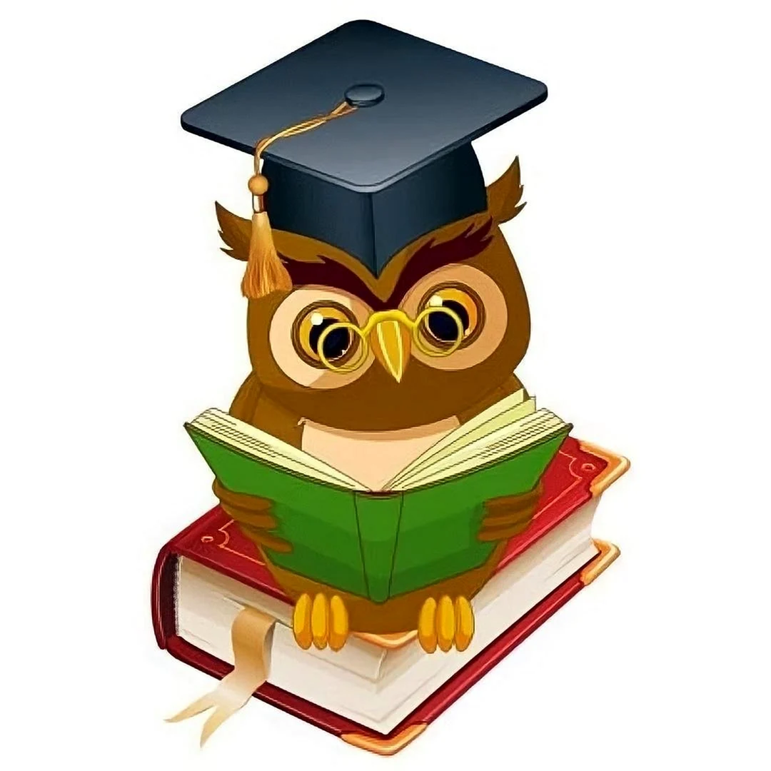 Сова с книгой