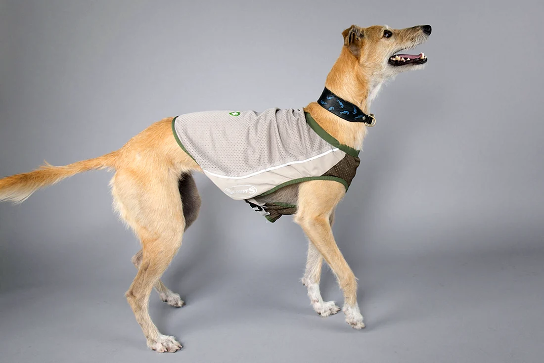 Tactical Dog harness - k9 Profi Pride