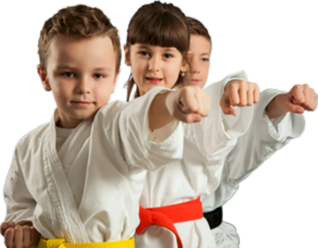 Taekwondo дети группа