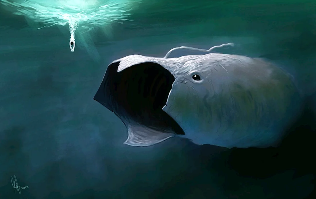 The Bloop морской монстр